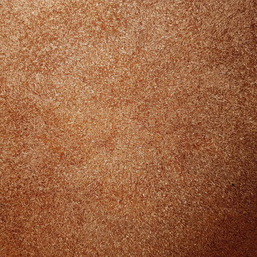 a8037f04ab942c4f9f39c4a6d2665380_1606980151_9275.jpg
